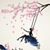 Anabel S Oosterlinck's profile image