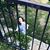 Alisha Gravil Poole's profile image