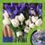 Elisabeth Citta's profile image