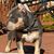 Matthew Sanders's profile image