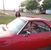 Darlene Medlar's profile image