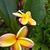 Arlene Bain Gutierrez's profile image