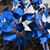 Pam Wright's profile image