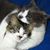Beka Willard-Tant's profile image