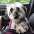 Teri Catterson Kraft's profile image