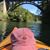 Liana Berge's profile image