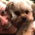 Carol Pack Cunningham's profile image