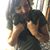 Sue Howard McAulay's profile image