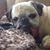 Molly MJ Massin's profile image