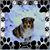 ZoAnne Boyd's profile image