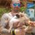 Tommy Liquori's profile image