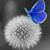 Maria Montalbano's profile image