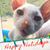 Misty Bugg Bush's profile image