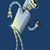 Shane Noyes's profile image