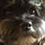 Miriam Maxwell's profile image