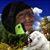 Jorge Guallpa's profile image