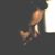 Christina Rivsen's profile image