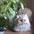 Renae Marie's profile image
