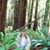 Stella Brese's profile image