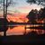 Sherry Brown Piercy's profile image