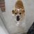 Ricky Phillips's profile image
