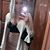 Brooke Marie's profile image