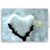 Shelly Rissot Yoder's profile image