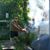 Steve Lodato's profile image