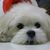 Kathy Kiser's profile image