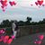 Terri McDaniel Smith's profile image
