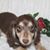Robin Feagan's profile image