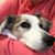 Mary Rosga Terry's profile image