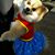 Kirsten Copenhaver's profile image
