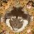 Gun-britt Eriksson's profile image