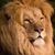 Jose Duran's profile image