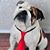 JoAnne Adames's profile image