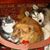 Nancy Williams's profile image