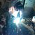 Carrey Hoese's profile image