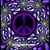 Donna Kaczorowski's profile image
