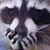 Michael E. Duffy's profile image