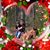 Tonya Frye's profile image