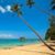 Brianne Urboniene's profile image
