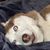 Michael Hutchinson's profile image