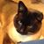 Jennifer Taplin's profile image