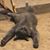 Shawna McCarty Conaway's profile image