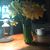 Marjorie Hunt Giannone's profile image