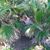 Crystal L Reilly's profile image