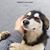 Cintia Demmer's profile image