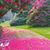 Griselda Uriarte's profile image