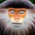 Toby Bailey's profile image